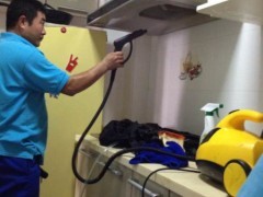 家電清洗設(shè)備、技術(shù)與家政服務(wù)市場(chǎng)全解析